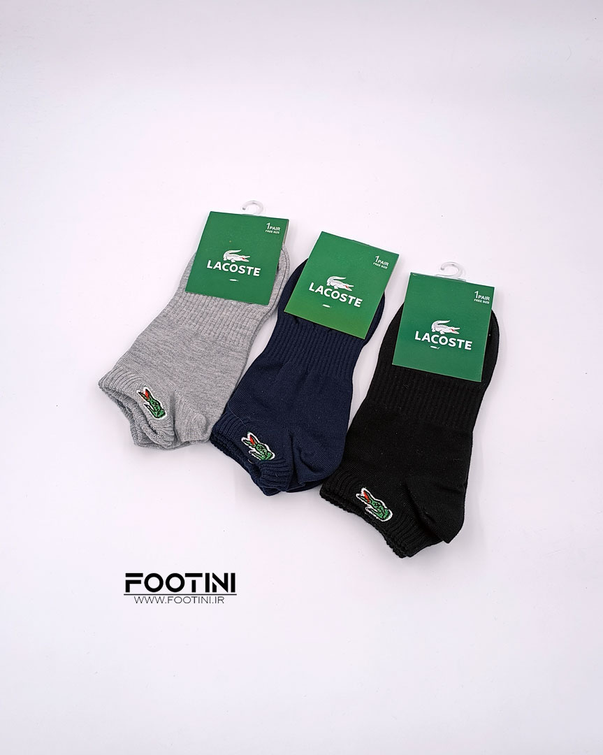 socks-PA-02-lacost-all-footini.jpg
