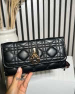 کیف زنانه مجلسی دیور 107 AM