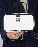 کیف زنانه چرم مینی میومیو 210 AM